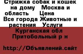 Стрижка собак и кошек на дому.  Москва и область.  › Цена ­ 1 200 - Все города Животные и растения » Услуги   . Курганская обл.,Притобольный р-н